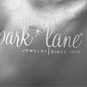 Park Lane earring bundle